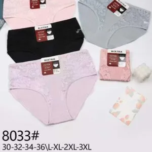 Lot de culottes en Coton et Dentelle Grande Taille (x24)